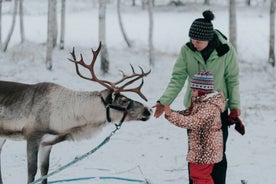 Family day: Reindeer, Husky and Snowmobiling in Levi