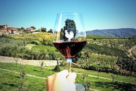 Chianti e Supertuscan Private Tour 2 Vinícolas com almoço leve