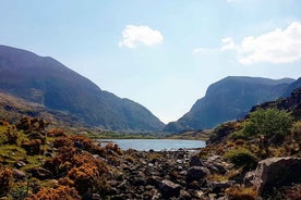 Killarney: Gap of Dunloe Pony, Trap & Traditional Boat Tour