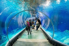 ヴロツワフ：プライベートトランスポートとチケットのある動物園