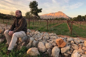 Sunset among the Vineyards with Tasting in Alicante (6-12 people)