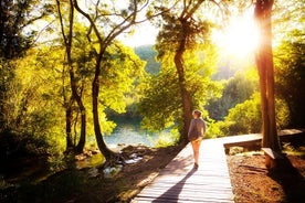 Yksityinen kuljetus Zadarista Zagrebiin Plitvice Lakes -opastetulla kierroksella