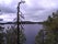 Kolovesi National Park, Enonkoski, Savonlinnan seutukunta, South Savo, Regional State Administrative Agency for Eastern Finland, Mainland Finland, Finland