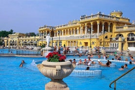 Billet til Széchenyi Spa med kombinationstilbud til middag og krydstogt