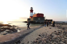 Farne Islands Longstone vitinn 2 tíma ferð frá Seahouses