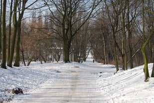 Park nad Wartą