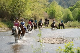 Marmaris Horse Safari