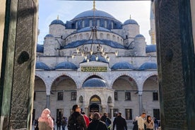 Half Day Istanbul Highlights Tour By Art Historian