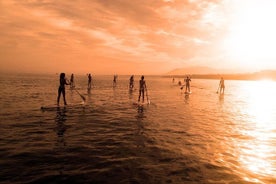 Sonnenuntergang SUP Tour in Marbella