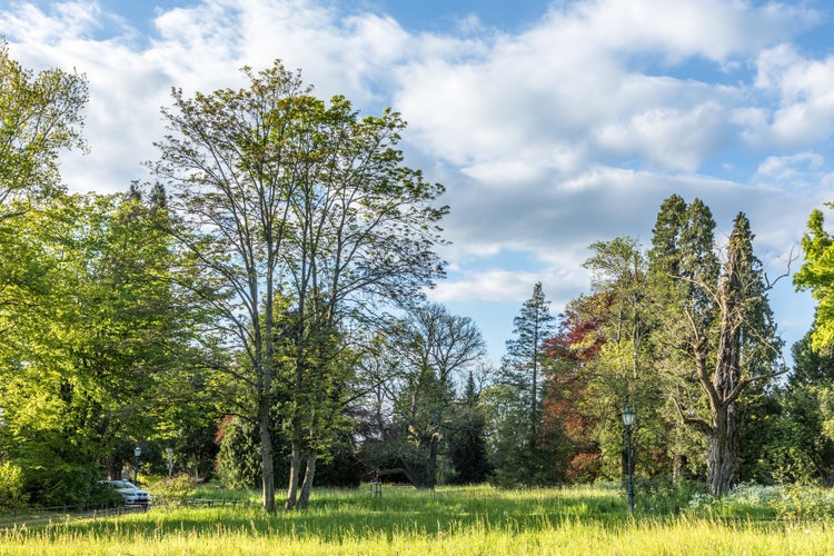 Photo of scenic park in darmstadt, Germany .