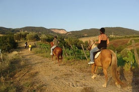 Experiencia a Caballo en Bodrum con Servicio de Traslado al Hotel