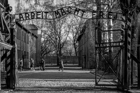 Visite guidée du musée national et du mémorial d'Auschwitz-Birkenau au départ de Cracovie