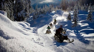 Snowmobile & Dyr Day Tour