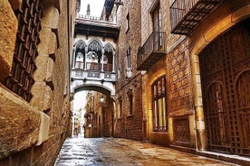 Barcelona Old Town, The Gothic Quarter Private Tour with Hotel Pickup