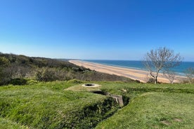 Excursão privada de meio dia à praia de Omaha