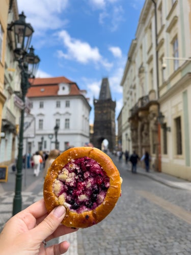 kolach Prague.jpg
