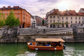 Promenade dans la ville de Ljubljana | Excursion privée hors croisière au départ de Koper