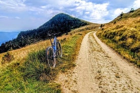 Visite privée en vélo électrique sur le toit de la montagne Bucegi