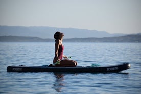 Stand Up Paddle With Dolphins