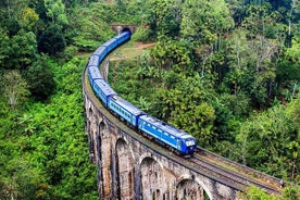 Tren Experiencia en los Alpes: La Ruta Real Barroca de la Sal