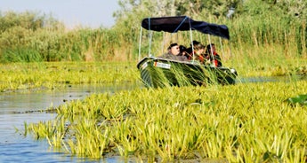 Birdwatching in Romania - a Danube Delta experience