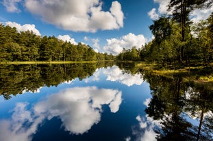 Biskopstorps naturreservat