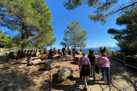 Barcelona Panoramic Walking Tour - Discover Montjuic