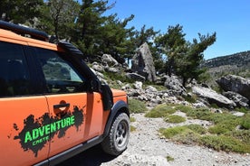 Visita privada de lujo VIP: medio día: excursión en 4x4 con Land Rover