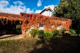 Solares de Portugal - Quinta Da Roseira