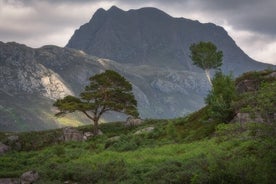 Schottische Hochlandfotografietouren - Torridon & Kinlochewe