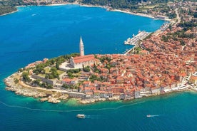 Excursion d'une journée à Vrsar, Lim Fjord et Rovinj en bateau avec boissons