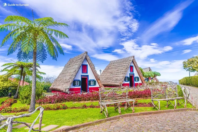 Spring in Madeira.jpg