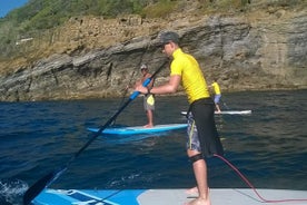 Stand-up paddle - SUP