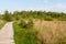 photo of boardwalk at National Park De Groote Peel in Asten, the Netherlands.