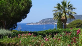 Les Trois Oliviers à Cassis