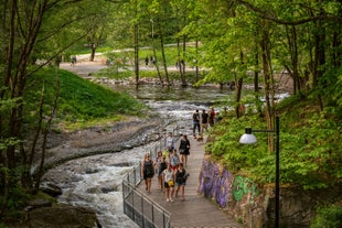 Nedre Foss