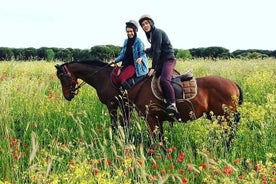 Horse Riding Trail with Breakfast in Ancient Rome