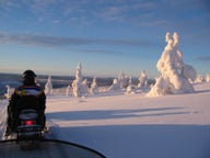 Touren und Tickets in Levi, Finnland