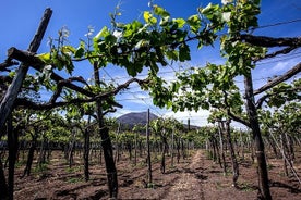 Visite de Pompéi + dégustation de vin et de nourriture au mont Vésuve