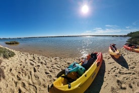 Ria Formosa 自然公园 4 小时皮划艇和浮潜之旅