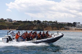 Small-Group Dolphin and Whale Watching Cruise from Lagos