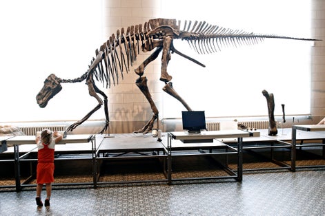 Photo of people watch a dinosaur fossil during their visit to the Museum of Natural Sciences of Belgium in Brussels.