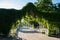 Photo of beautiful and unique pergola covered with green vines in Pärnu Rannapark in summer.