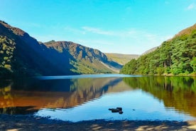 Frá Dublin: Wicklow-fjöll, Glendalough & Kilkenny Tour