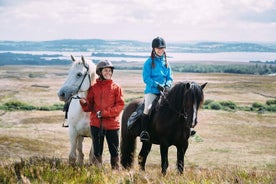 Paseos a caballo por la playa y el campo en las afueras de Westport. Guiado. 1 hora