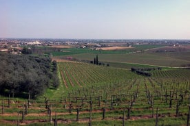 Prosecco Private Tour Valdobbiadene Conegliano