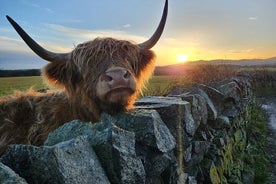 Einkaferð um hálendið, Oban, Glencoe, Lochs og kastala frá Glasgow