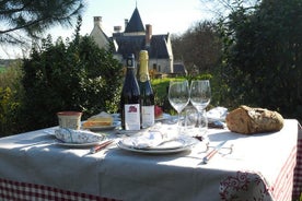 Picnic in the Vines - A Unique Loire Wine Experience