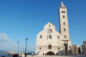 Tour privado de Trani: una obra de arte que domina el mar Adriático