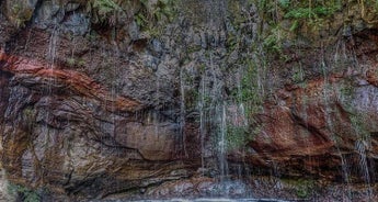 Madeira Island Walking